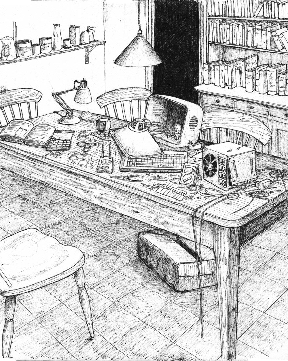 The Urban Naturalist // How to Make the City Your Scientific Playground