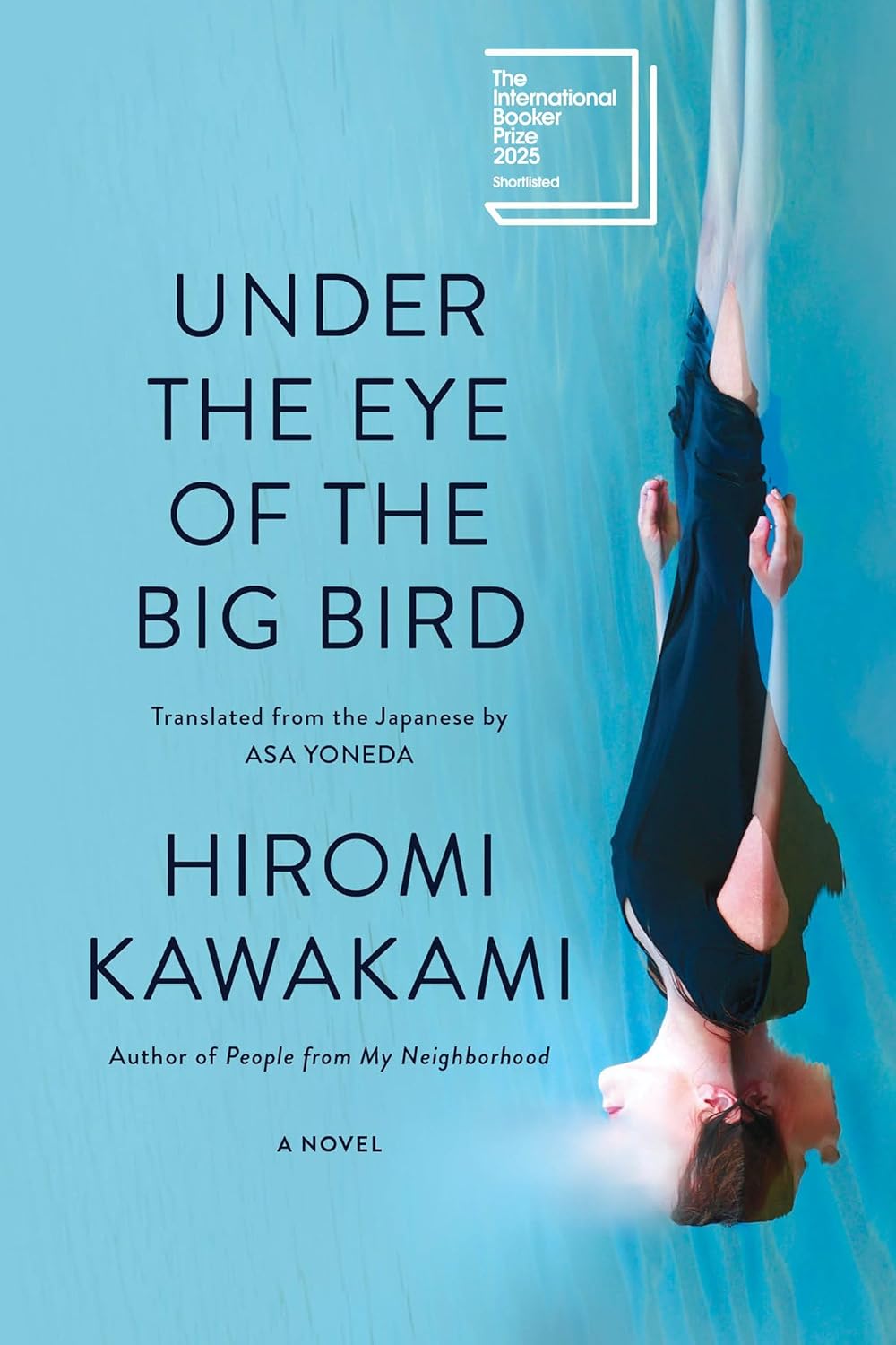 Under the Eye of the Big Bird // A Novel