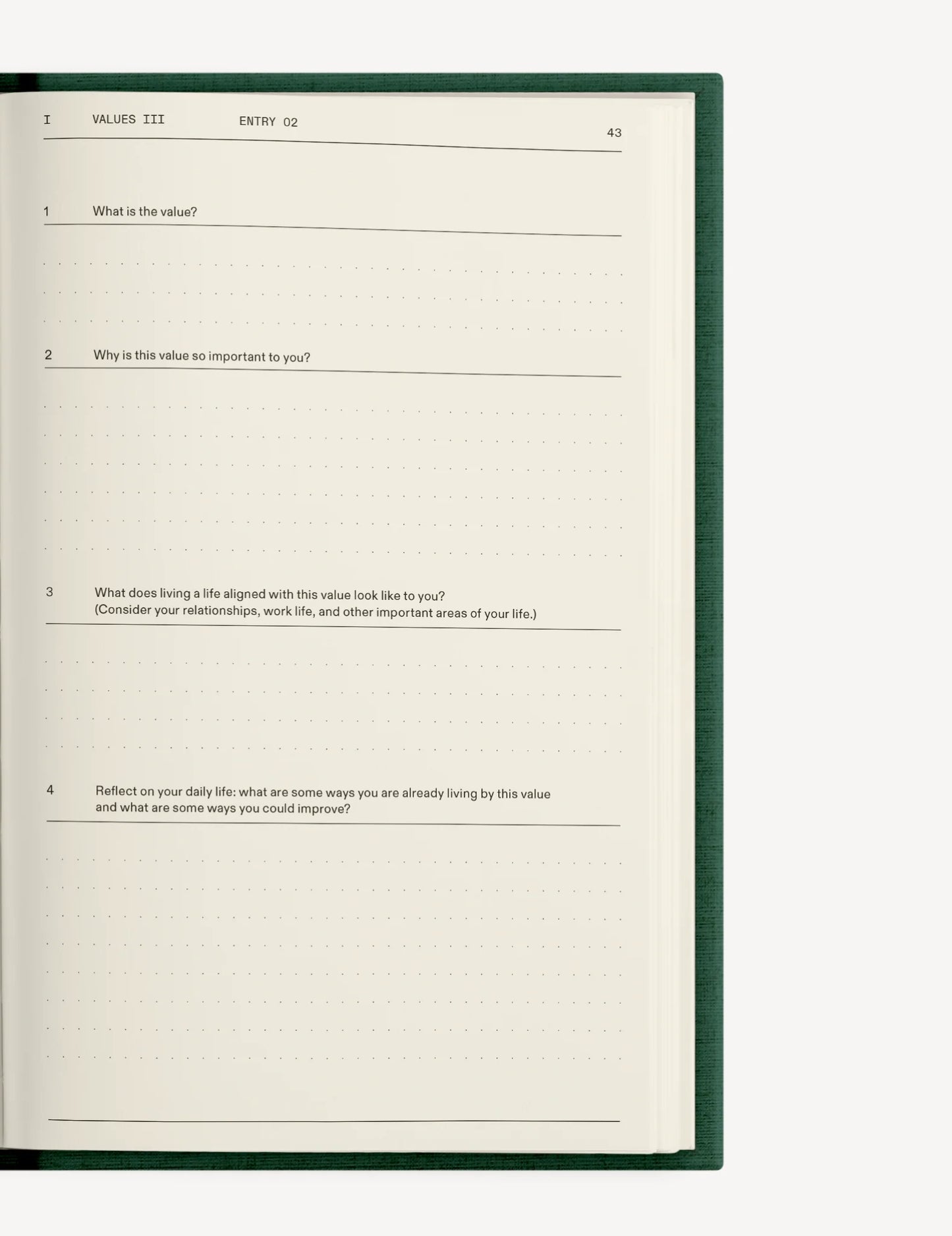 The Field Guide for Depression // Tools to Motivate, Reframe, and Connect