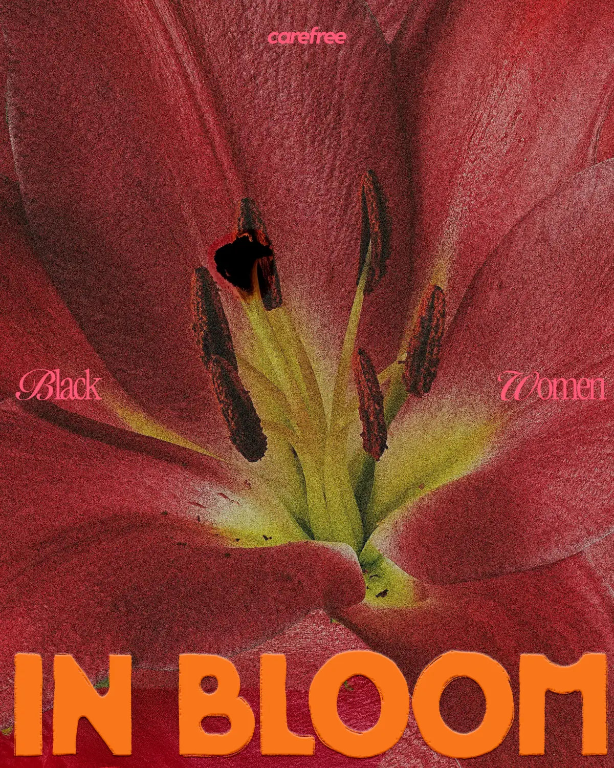 Black Women In Bloom // The Coffee Table Book - Bloom Cover – Limited Edition