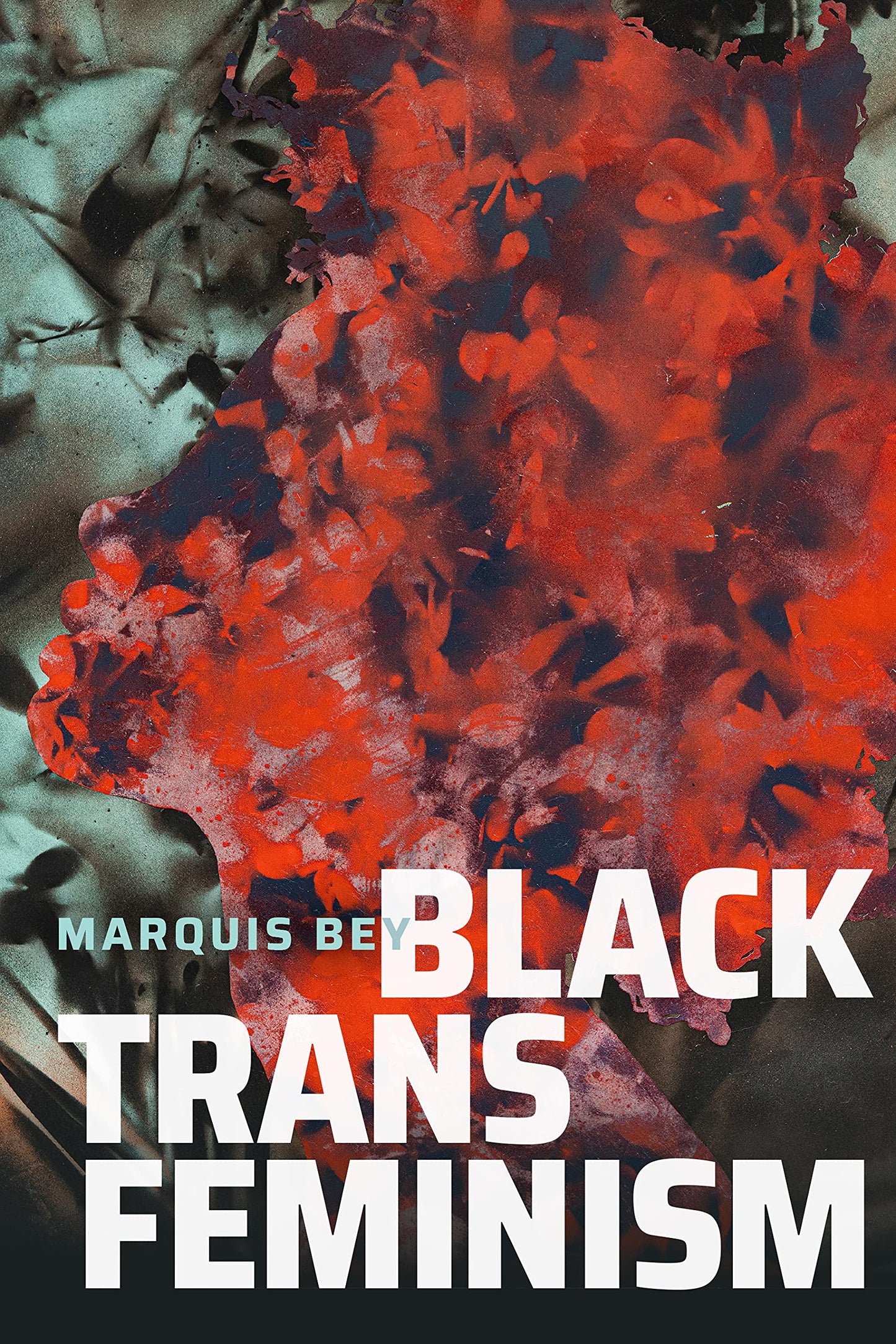 Black Trans Feminism // Black Outdoors: Innovations in the Poetics of Study