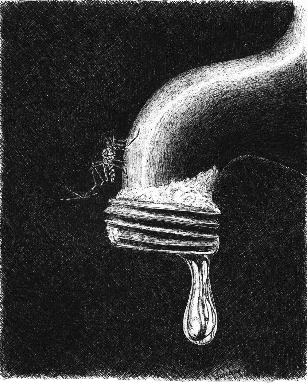 The Urban Naturalist // How to Make the City Your Scientific Playground