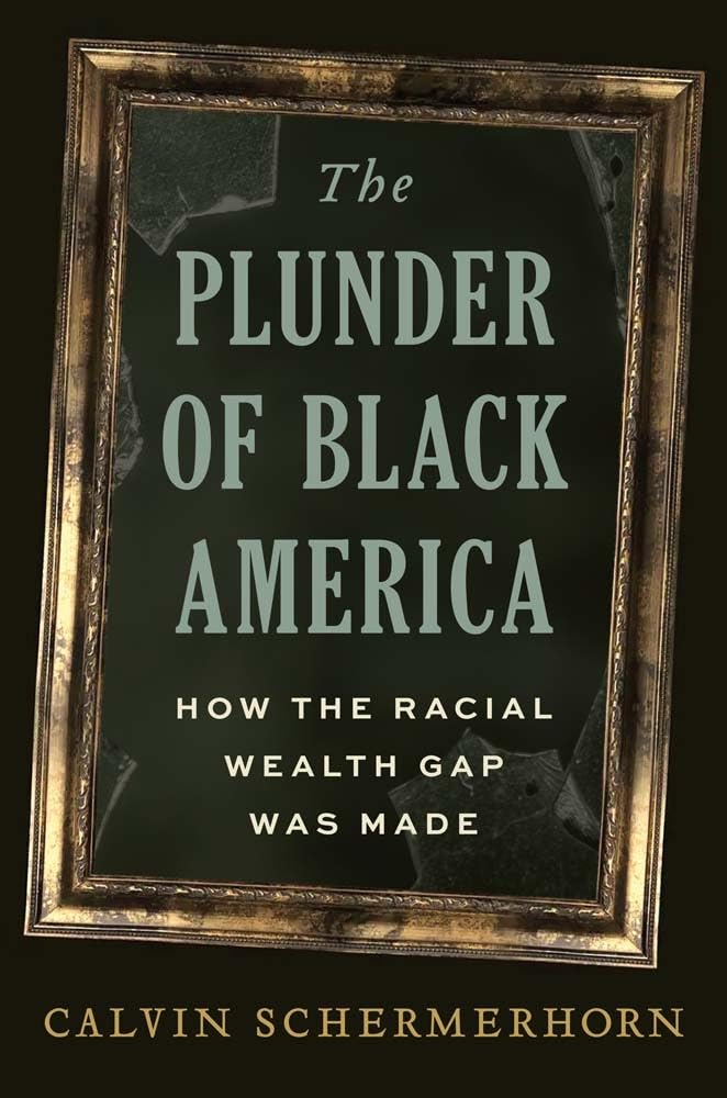 The Plunder of Black America // How the Racial Wealth Gap Was Made