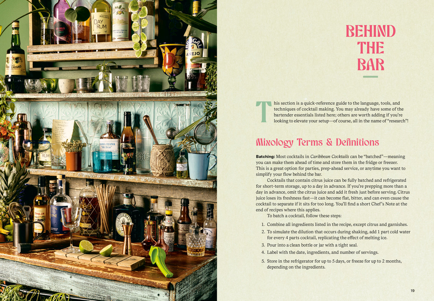 Caribbean Cocktails // Drinks and Bites from the Afro-Latino Diaspora [A Cocktail and Non-Alcoholic Drink Recipe Book]