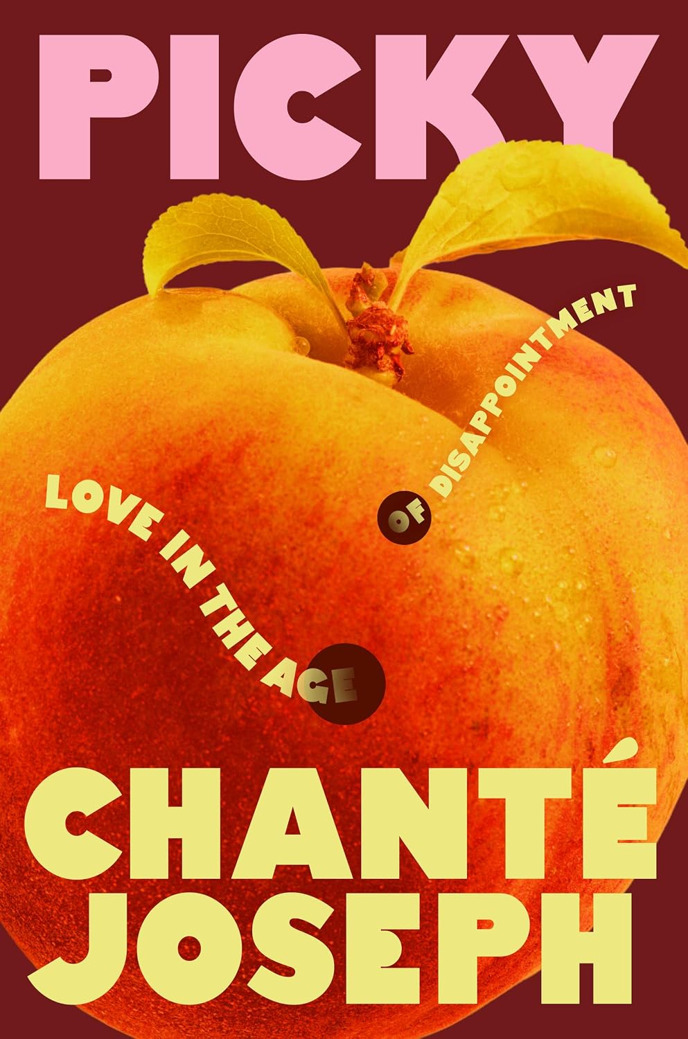 Picky // Love in the Age of Disappointment (Pre-Order, June 8 2027)