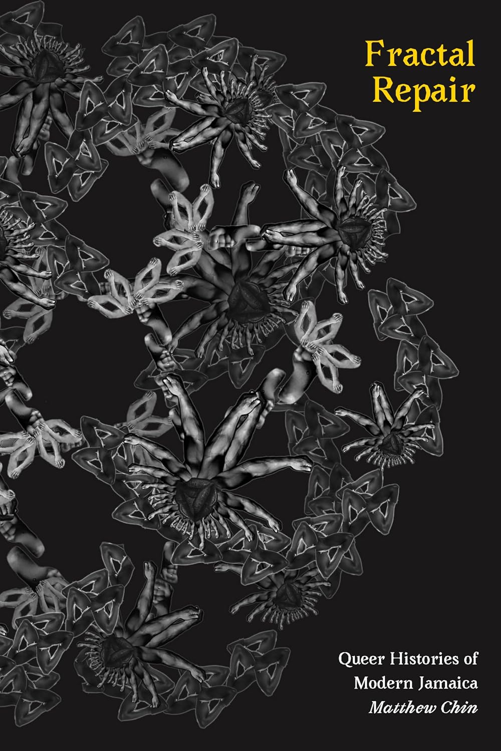 Fractal Repair: Queer Histories of Modern Jamaica // (Perverse Modernities)
