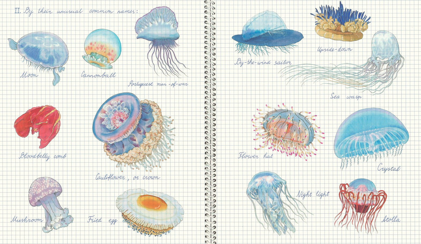 Fourteen Ways of Looking at Jellyfish
