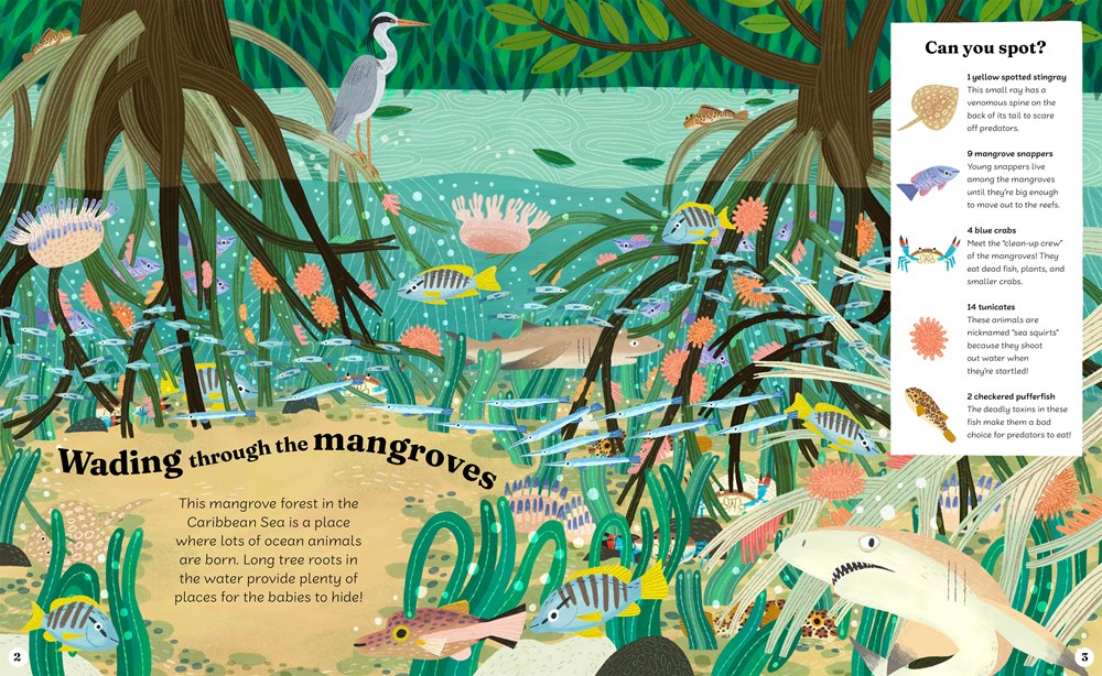 Ocean Explorer // A Search-and-Find Book (Pre-Order, April 7 2026)