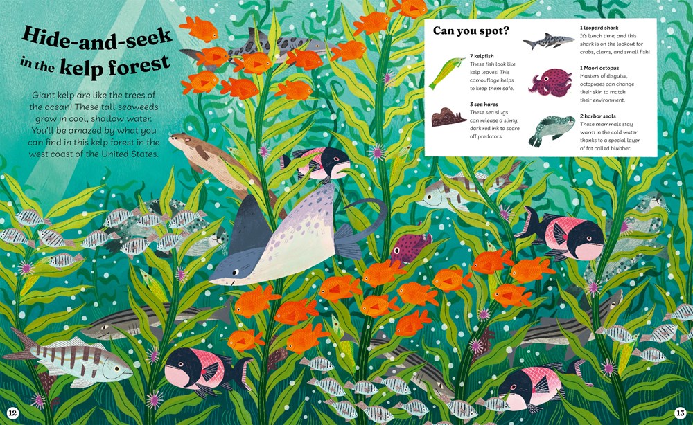 Ocean Explorer // A Search-and-Find Book (Pre-Order, April 7 2026)