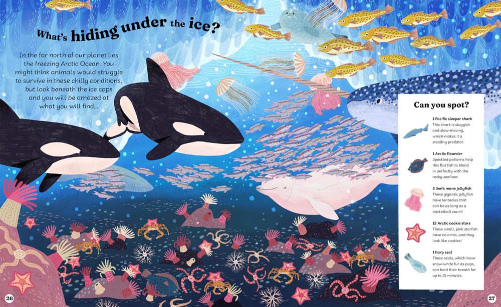 Ocean Explorer // A Search-and-Find Book (Pre-Order, April 7 2026)