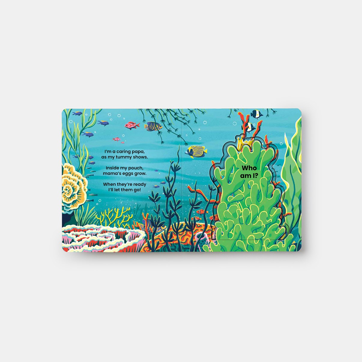 Who's Hiding? Under the Sea // A Lift-The-Flap Book