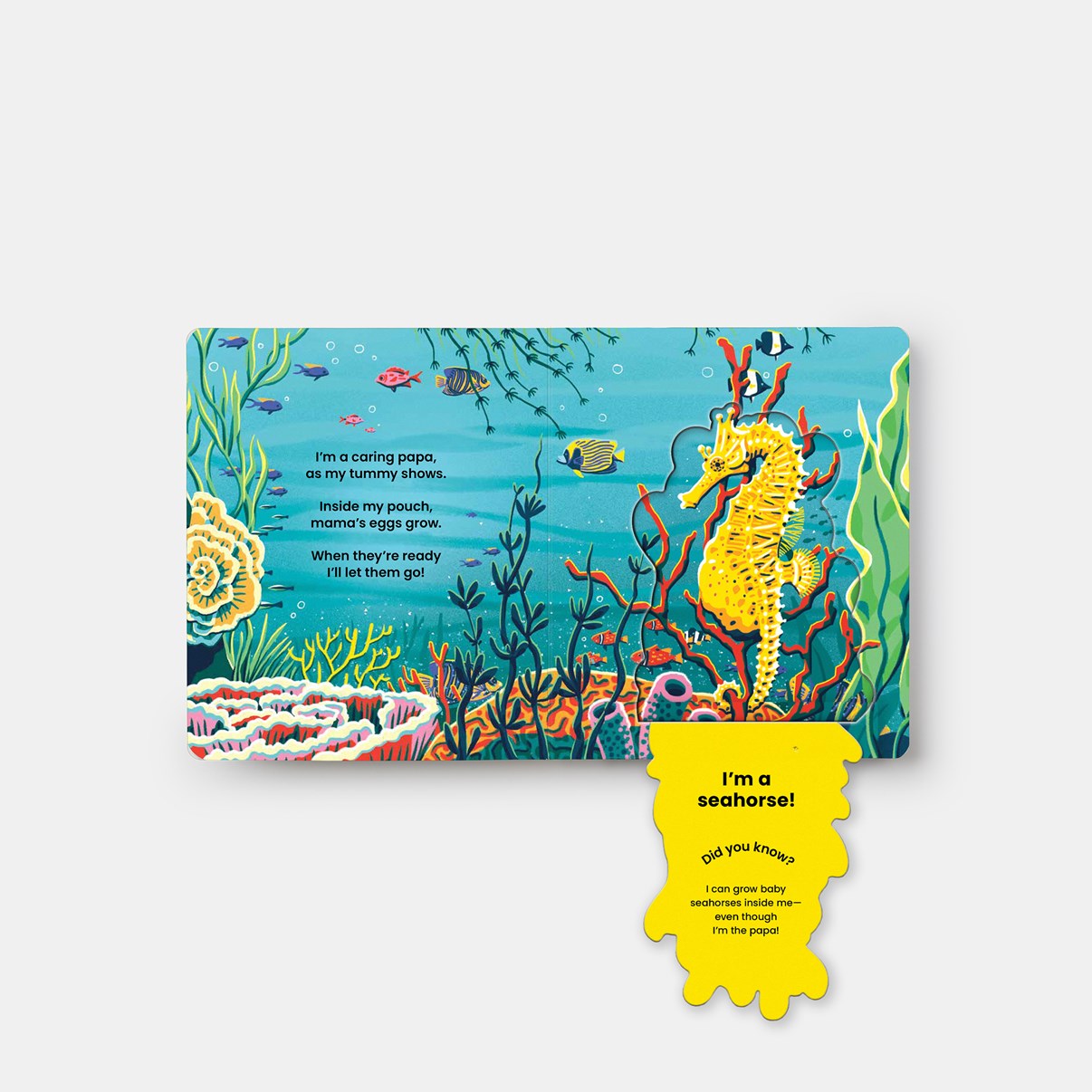 Who's Hiding? Under the Sea // A Lift-The-Flap Book