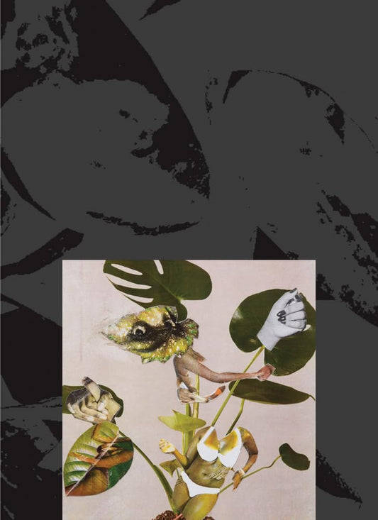 Kandis Williams: A Surface // (Pre-Order, Aug 5 2025)