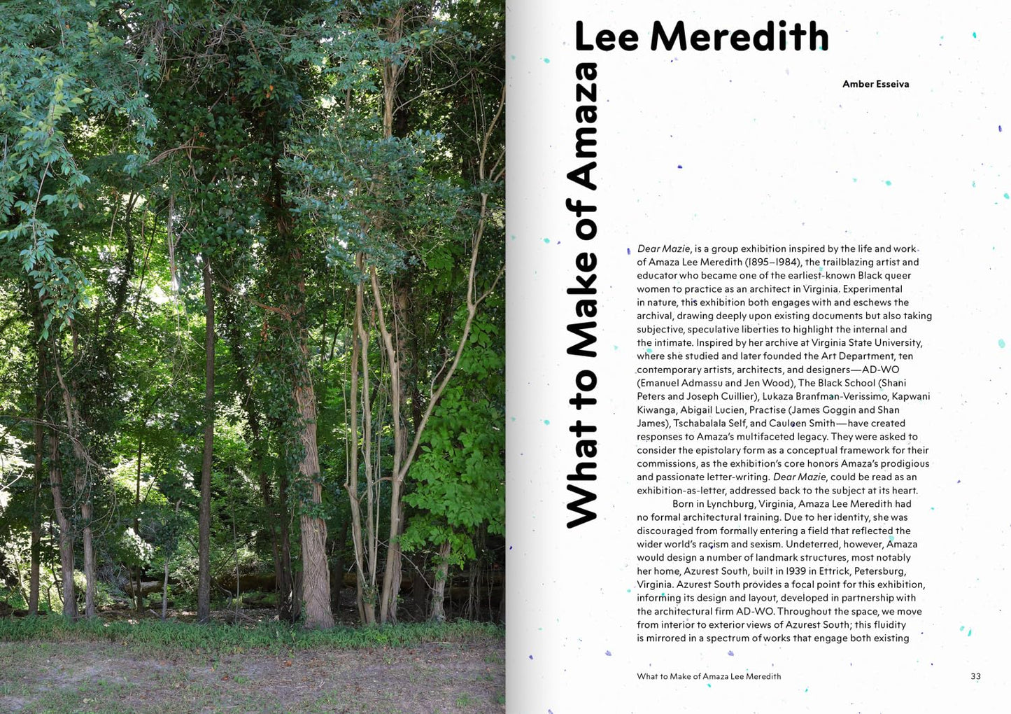 Dear Mazie, // Sanctuary, Speculation, and Sky (Pre-Order, Jan 26 2026)