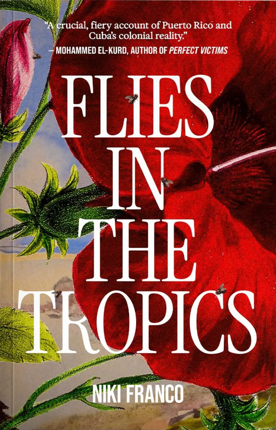 Flies in the Tropics // (Pre-Order, Oct 2026)